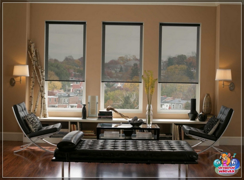 Translucent roller blinds will not attract too much attention, but will make the office more suitable for work