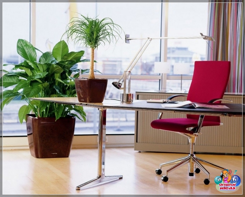 cabinet Fresh flowers will be appropriate in any office