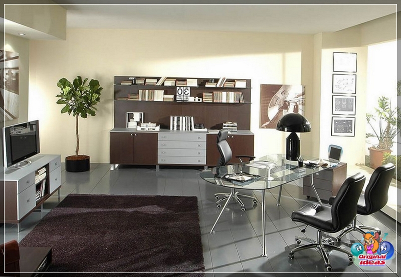cabinet Large plants look good in a spacious office