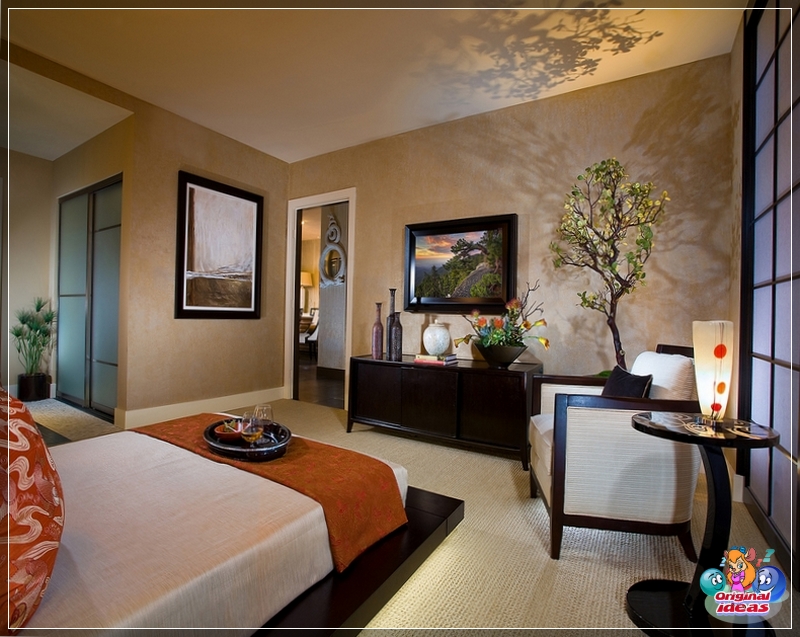 room Plants can liven up any interior