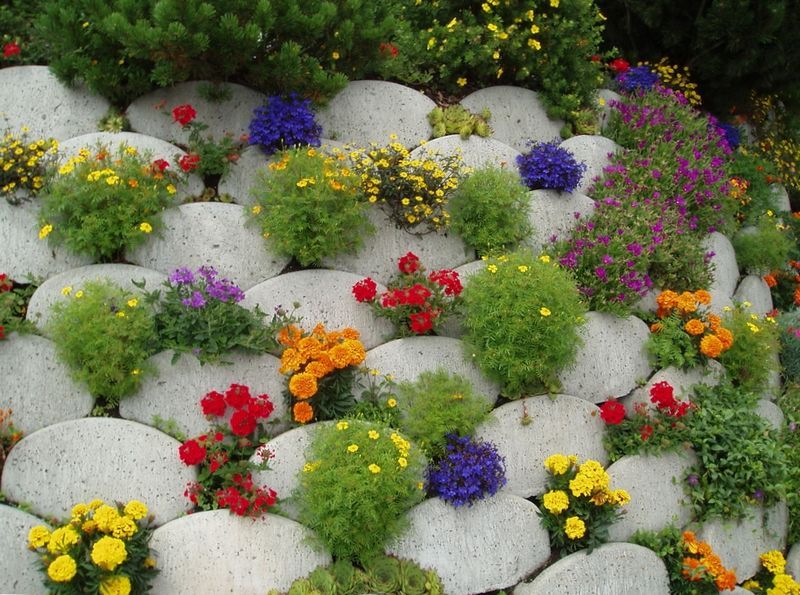 rutsche Lassen Sie zwischen den Steinen Platz für Blumen