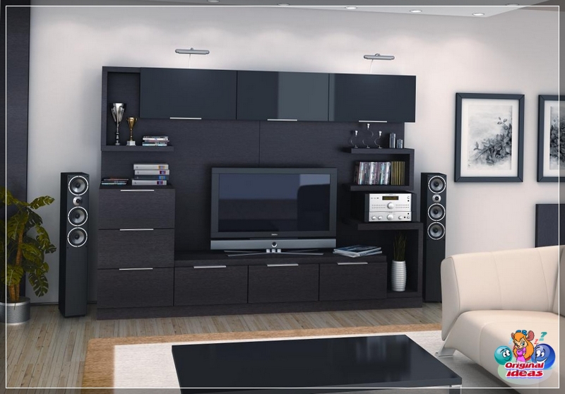 furniture Wall in black tones