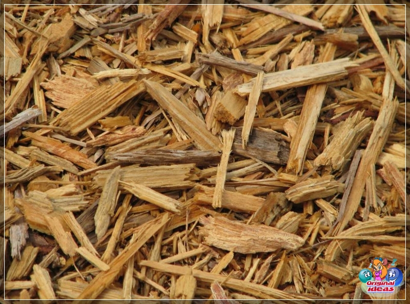 application Wood sawdust for the manufacture of decorative chips