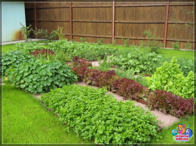Un huerto decorativo competente decorado en diseño de paisaje