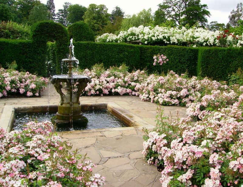 landscape Landscaping of the site in the English style with a fountain