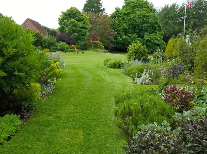 landscape Well-groomed lawn in landscape design