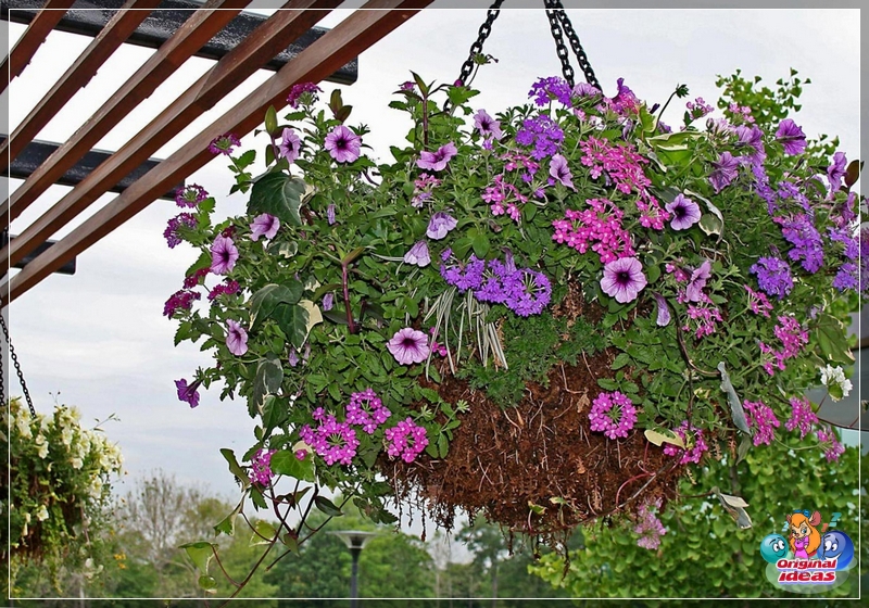 landscape Decorative pots in landscape design