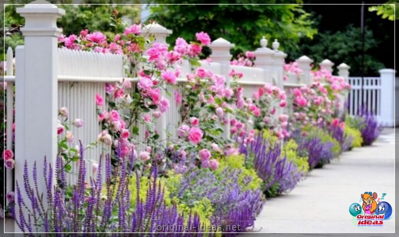How to decorate a yard with your own hands? Overview of original ideas and combinations for the design of the yard (110 photos) (yard) How to decorate a yard with your own hands? Overview of original ideas and combinations for the design of the yard (110 photos)