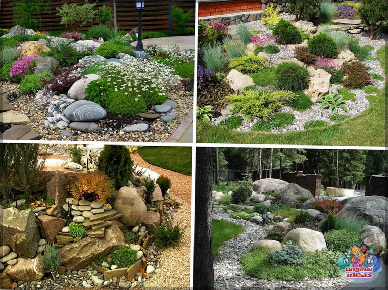 Having a beautiful rock garden in the yard is the dream of any housewife
