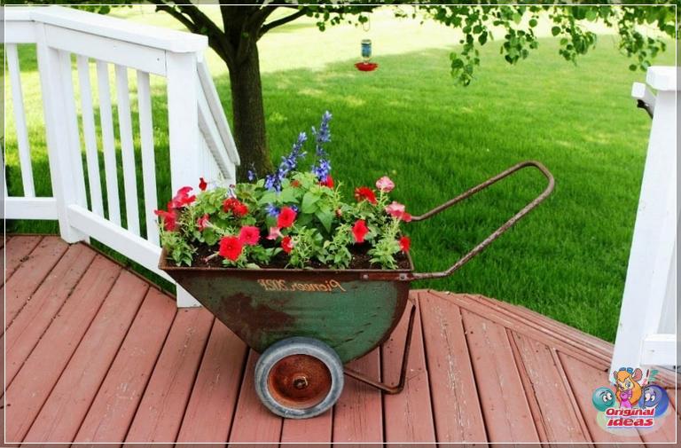 Beautiful miniature flower bed organized in an old wheelbarrow 