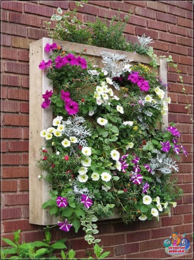 Vertical flower bed from a wooden pallet