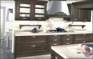 30+ Лепшыя ідэі кухня з цёмнымі шафамі