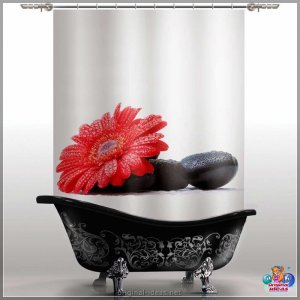 Заслона для ваннай - 100 фотаздымкаў сучасных новых прадуктаў