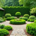 evergreen-elegance-the-backbone-of-your-four-season-garden1.jpg
