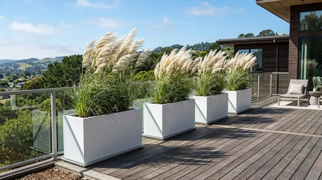 A spacious wooden deck features four large white planters filled with tall, feathery pampas grass. The deck is bordered by a glass railing, offering a view of lush green hills and trees under a clear blue sky. A modern house with large windows and outdoor seating is visible in the background.
